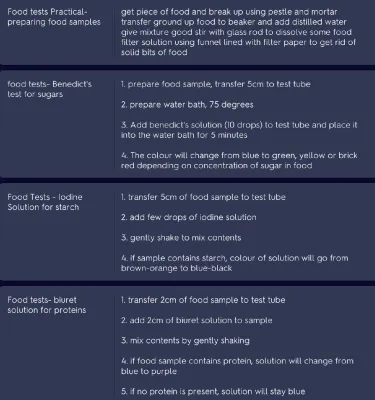 GCSE biology - food tests