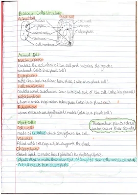 Biology Notes