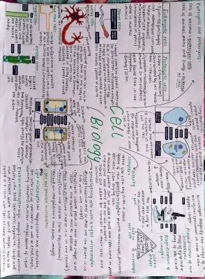 GCSE Biology B1-B2 Mindmaps - BBC Bitesize Revision Notes