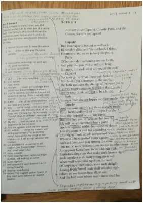 English literature: Romeo & Juliet - Act 1 Scene 2 - ANNOTATIONS