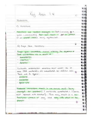 Higher Human Biology Mutations Notes - Gene and Chromosomal Mutations PDF