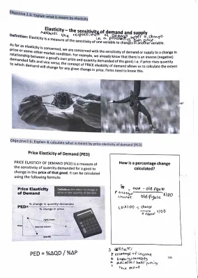 Understanding Price Elasticity of Demand: Easy A Level Microeconomics!