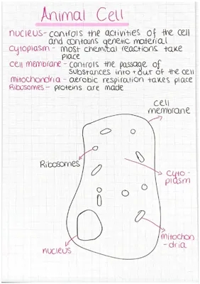 GCSE AQA Combined Science Trilogy Detailed Biology Notes & Questions - Free PDF