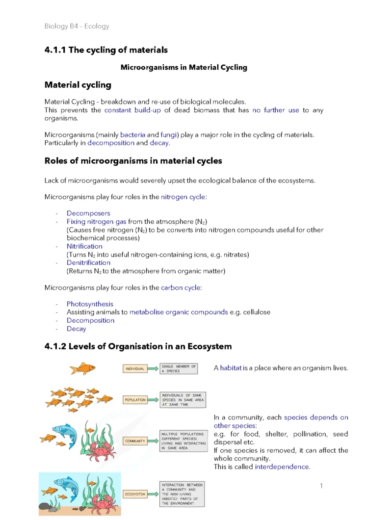 Nitrogen and Water Cycles: Easy Science Notes with Diagrams