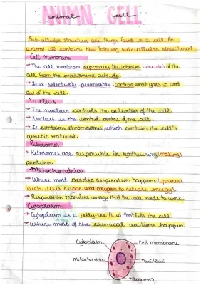 Difference Between Prokaryotic and Eukaryotic Cells for Kids | Diagrams and Tables