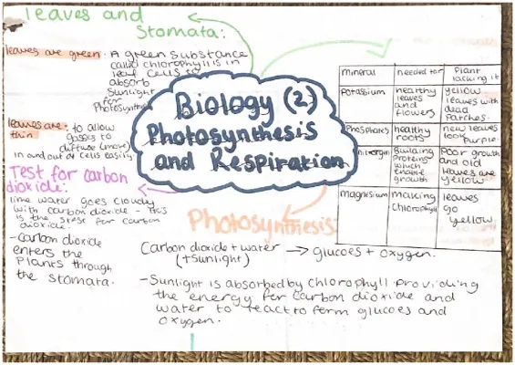 Biology photosynthesis and respiration 