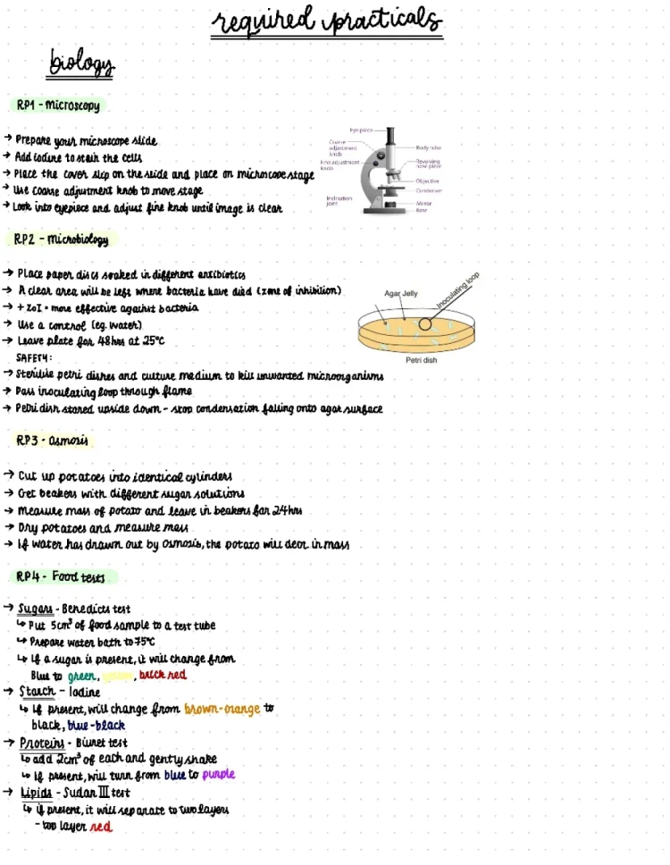 GCSE Biology Required Practicals: Microscopy, Onion Cells, Microorganisms, and Potato Osmosis