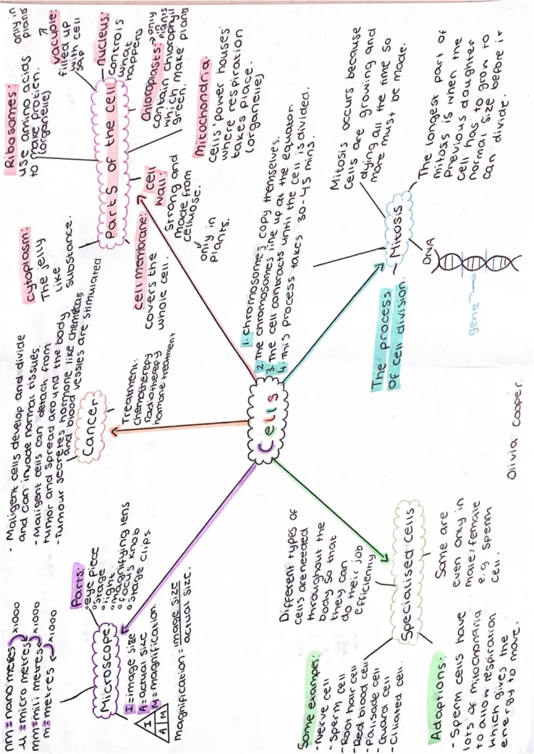 Fascinating Cell Structures & Questions for GCSE Combined Science AQA