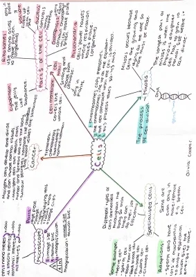 Fascinating Cell Structures & Questions for GCSE Combined Science AQA