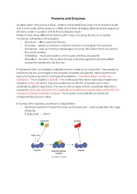 BIOLOGY 1.4 - Proteins and Enzymes 