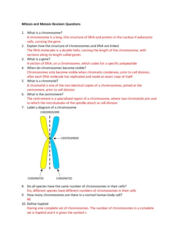 Eduqas A Level Biology Mitosis Meiosis 2021 Revision Questions and Answers