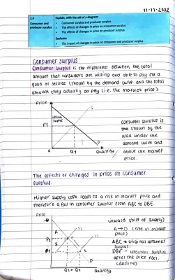 Consumer and Producer Surplus