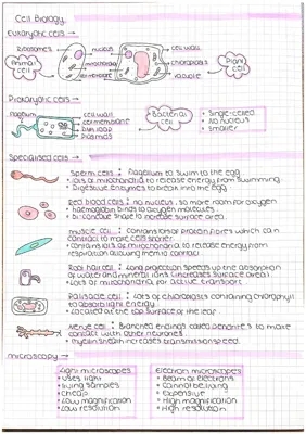 GCSE Biology Paper One Summary Notes and Revision PDF