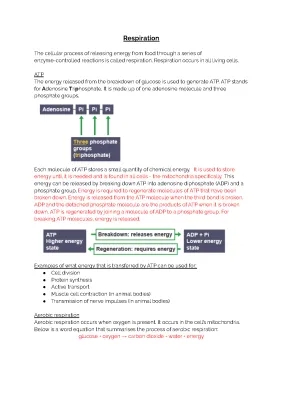 BIOLOGY 1.6 - Respiration 