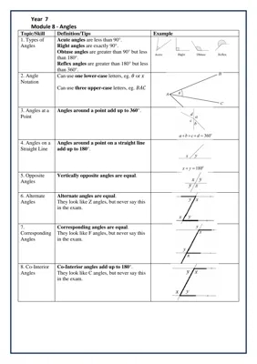 Year 7 Module 8 - Angles