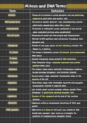 Biology Mitosis Definitions and Stages for GCSE: 4 Stages, Diagrams, and Meiosis