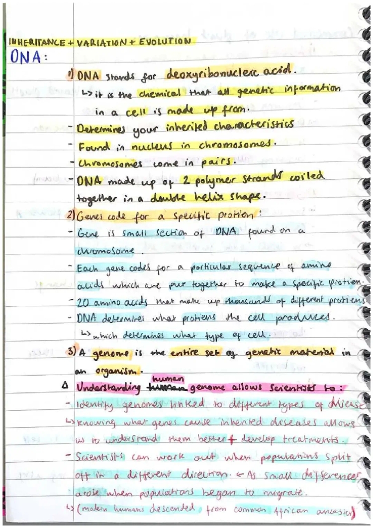 GCSE Biology: Inheritance, Variation and Evolution Notes PDF (Part 1)