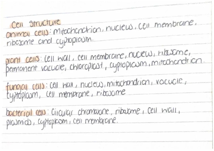 Nat 5 Biology Flashcards PDF – Unit 1 Notes & Quiz Questions