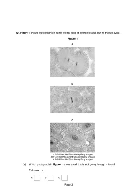 Cool Things About Electron Microscopes and Testing Foods