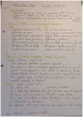 Scrutiny of the Executive - Essay Plan 