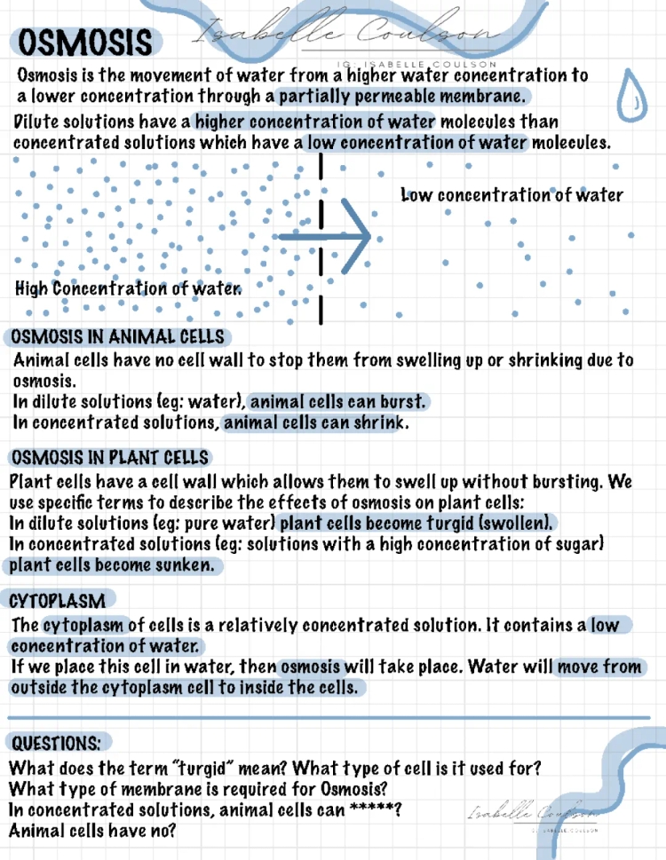 AQA GCSE Science Notes - Biology, Chemistry, Physics PDF