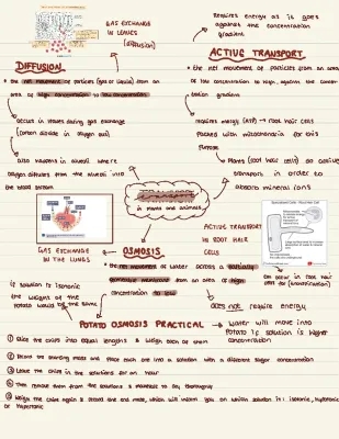 Diffusion, Osmosis, and Active Transport in Biology: Simple Notes for Class 12