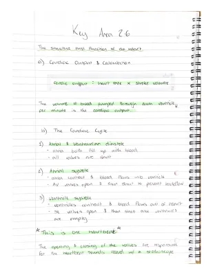 Higher Human Biology Key Area 2.6 - Heart Structure & Function (SQA Notes PDF)