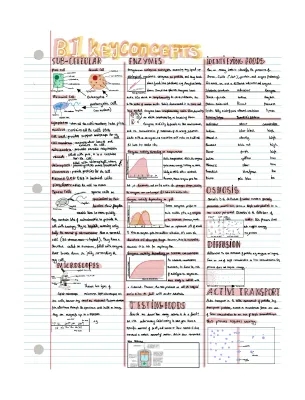 Subcellular Structures and Enzyme Activity: Examples and Tests