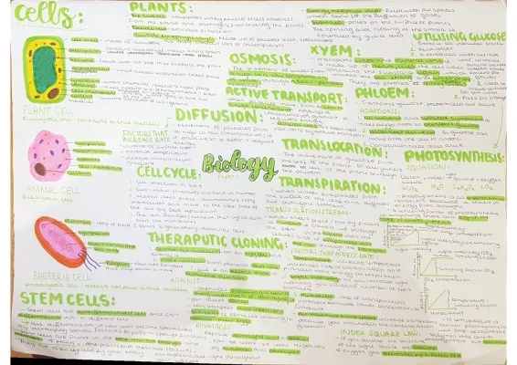 GCSE AQA Biology Paper 1: Cell Structure, Photosynthesis, and Mind Maps