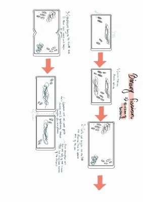 Binary Fission, the Cell Cycle and Arteries, Veins + Capillaries