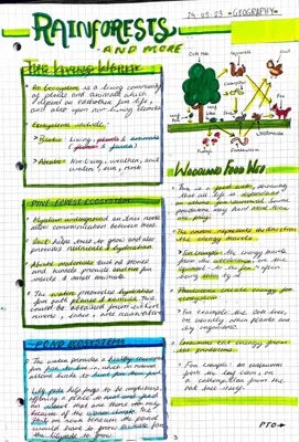 Year 9 Geography: Amazon Rainforest and Ecosystems Case Studies