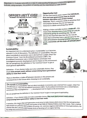 Fun Microeconomics: Opportunity Cost, Sustainability, and Production Possibility Curve