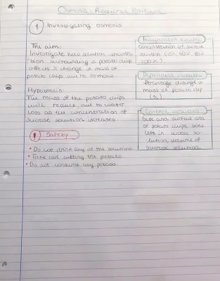 Easy Potato Osmosis Experiment: Practical Steps and Observations