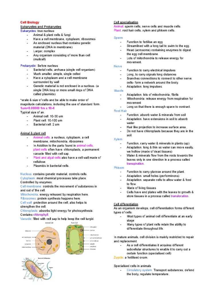 BBC Bitesize Biology Notes: Predicted Topics 2022 AQA & Cell Structure