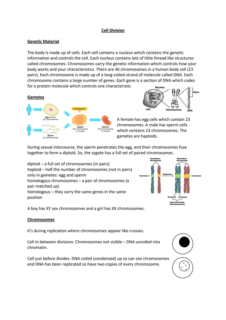 AQA GCSE Biology Cell Division Notes PDF - Mitosis, Meiosis, and More!