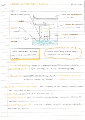 How to Perform a Paper Chromatography Experiment: Step by Step Guide