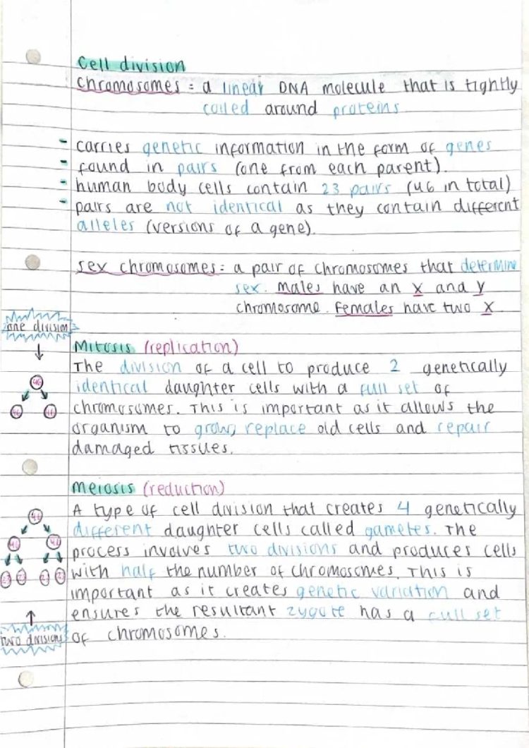 Cell Division GCSE WJEC Unit 2B PDF and Answers - Learn About Mitosis, Meiosis, and Cancer