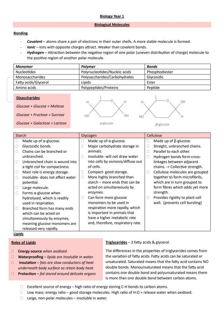 Year 1 Biology: Bonding Types and Biomolecules PDF