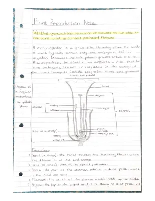 Plant reproduction revision notes for EDUQAS A level biology