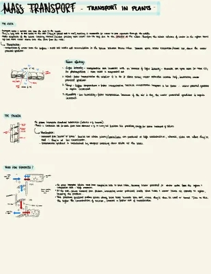 Mass Transport in Plants A Level Biology: Xylem, Phloem, and Transpiration