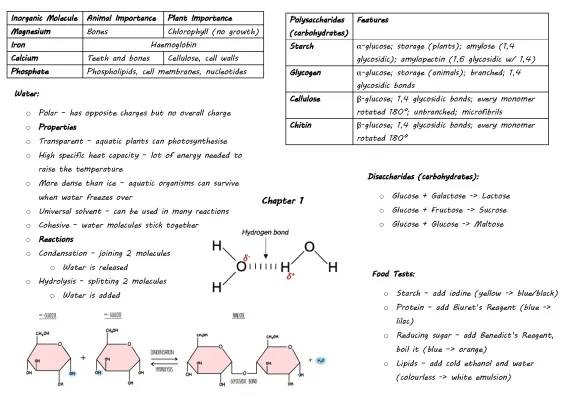 WJEC AS Biology Unit 1 Study Guide - Mindmaps & Knowledge Organisers