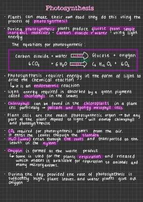 Free Photosynthesis Notes PDF - GCSE & A Level Biology, Factors and Methods of Measurement