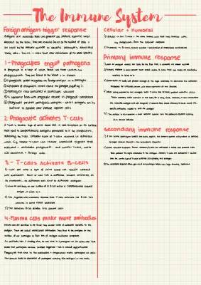 Get an A* in A Level Biology: Immune System Notes for AQA Year 12 & 13