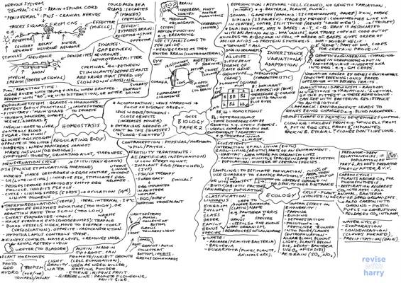 Biology - Paper 2 Mindmap