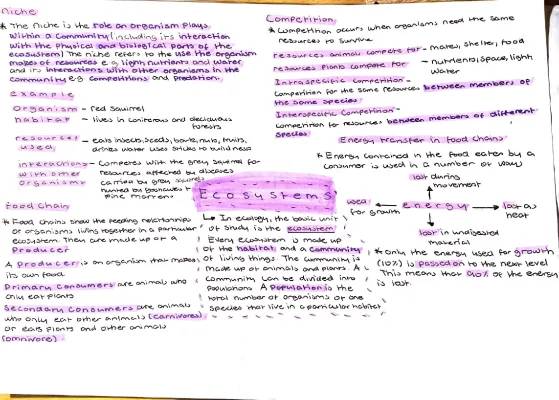 Biology: Niche, Competition, and Energy Transfer Notes PDF for GCSE & A Level