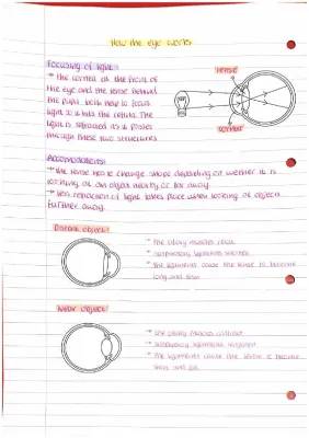 How Your Eyes Focus: Light, Cornea, Lens, and Pupil Magic