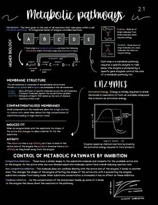 How Enzymes Work in Metabolic Pathways and Cells