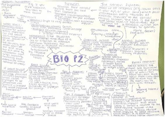 Aqa Combined Science Paper 2: Hormonal Contraception, Blood Glucose, and Homeostasis Questions