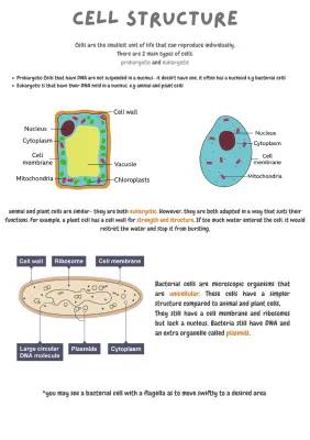 Cell Structure: Differences Between Prokaryotic and Eukaryotic Cells for Class 8, 9, and 11