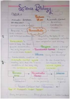 Biology B5 & B6 Revision Notes PDF - Homeostasis, Endocrine System, and More!